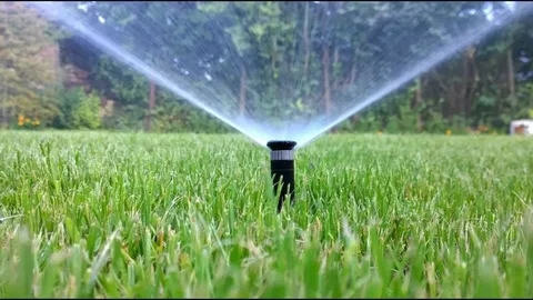 Reliable Irrigation Repair Services for Healthy Lawns