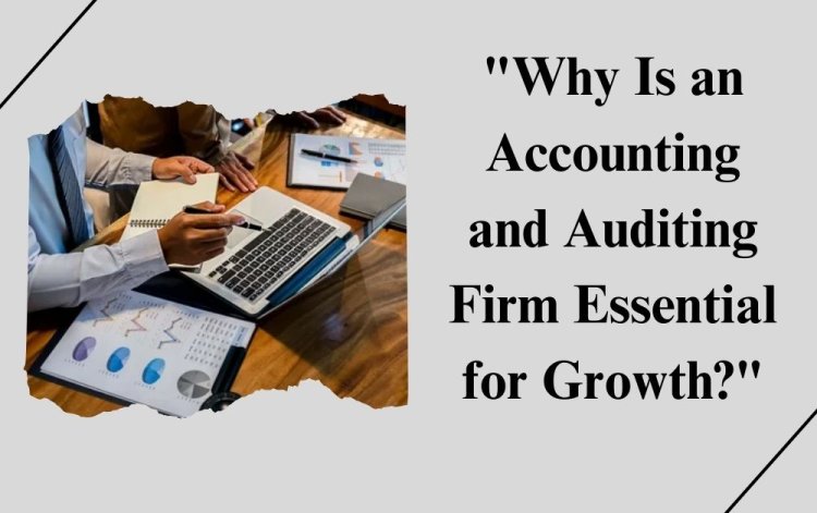 Why Is an Accounting and Auditing Firm Essential for Growth?