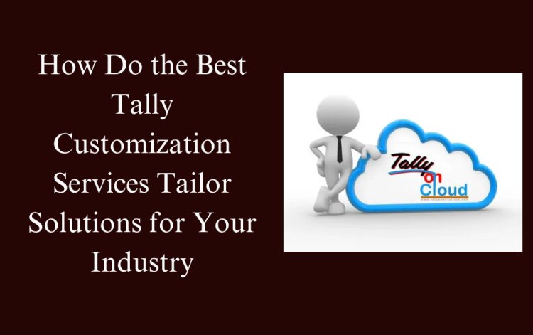 How Do the Best Tally Customization Services Tailor Solutions for Your Industry