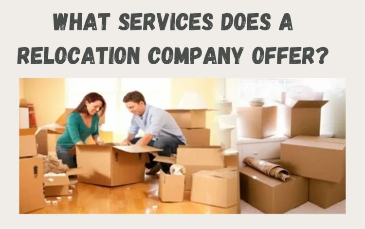 What Services Does a Relocation Company Offer?