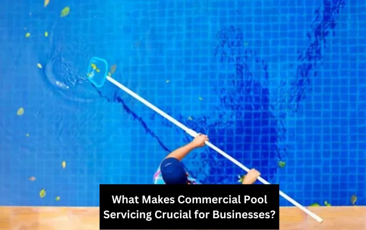 What Makes Commercial Pool Servicing Crucial for Businesses?